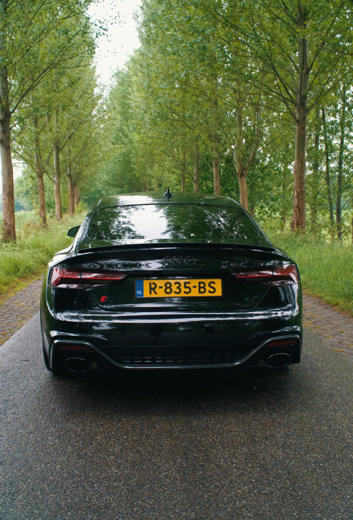 Audi RS5 foto 2